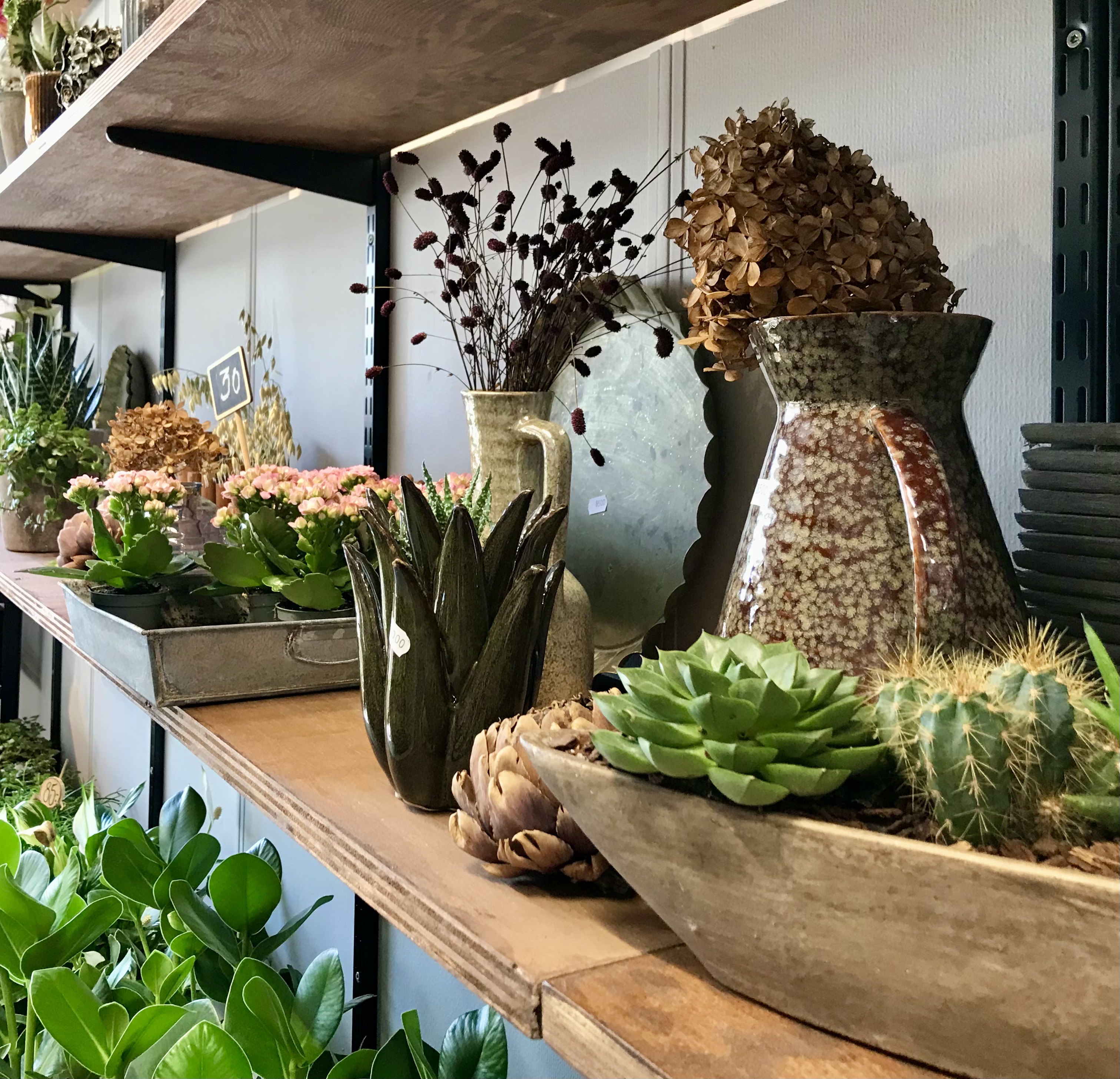 Hænder der holder mobiltelefon og tager billede af blomster